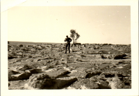 FX0255