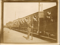 FX0774