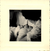 FY0061