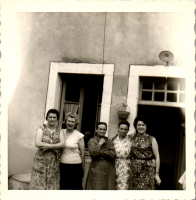 FY0088