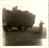 FY0101