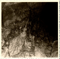 FY0146