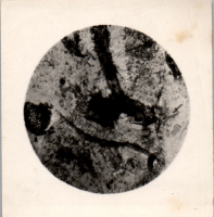 FY0158