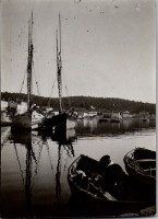 FY0229
