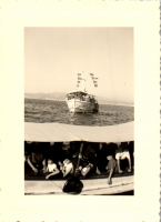 FY0291