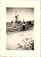 FY0293