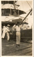 FY0295