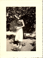 FY0311