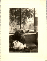 FY0319