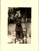 FY0320