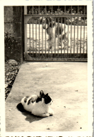 FY0356