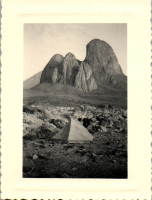 FY0365