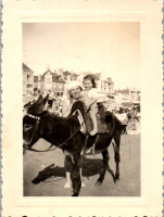 FY0377