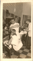 FY0381