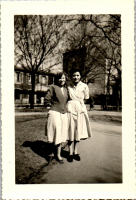 FY0481