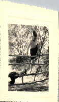 FY0493