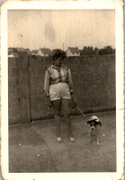 FY0533