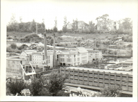 FY0549
