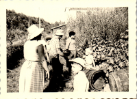 FY0558