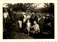 FY0560