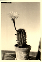 FY0561