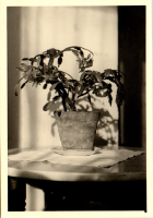 FY0562