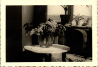 FY0567
