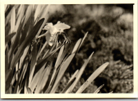 FY0569