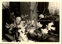 FY0571