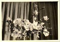 FY0573