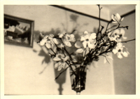 FY0574