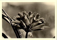FY0575