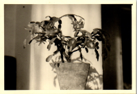 FY0576