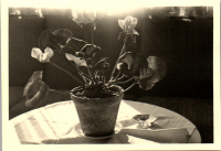 FY0577