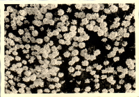 FY0578