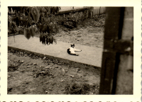 FY0592