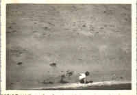 FY0614