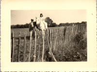 FY0648