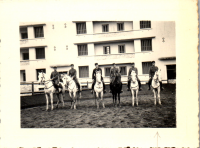 FY0696
