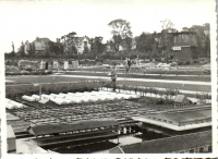 FY0781