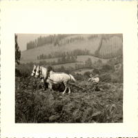 FY0823