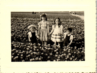 FY0836