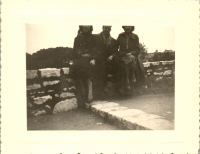 FY0886