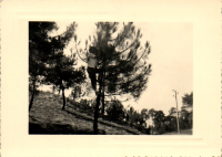 FY0920