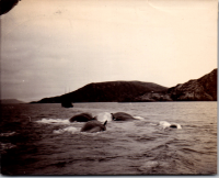 FY0948