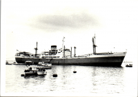 FZ0204