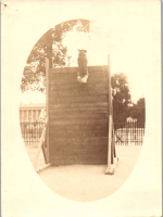 GA0911