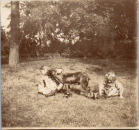 GA0979