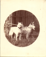 GB0034
