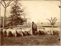 GB0157